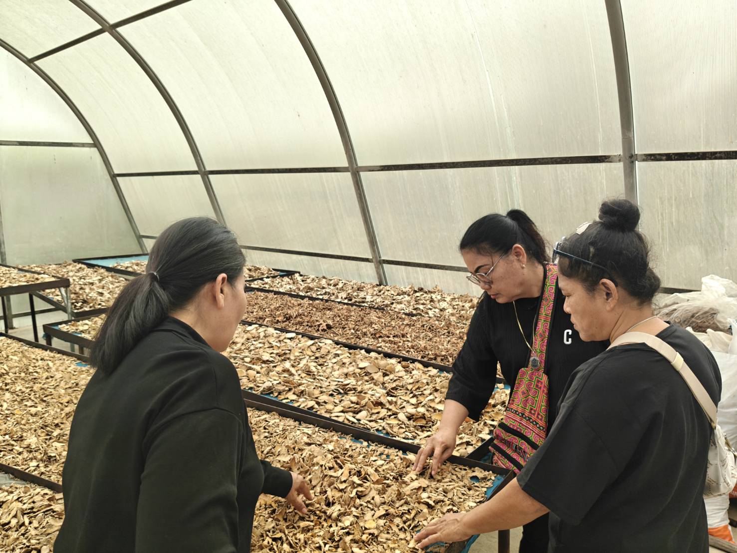 title - ส.ป.ก.นครปฐม จัดฝึกอบรมและศึกษาดูงานโครงการยกระดับศักยภาพพัฒนาสินค้าเกษตรชีวภาพกิจกรรมยกระดับศักยภาพ การพัฒนาศักยภาพสินค้าเกษตรชีวภาพ ปีงบประมาณ พ.ศ. 2569 หลักสูตร การเพิ่มประสิทธิภาพการผลิตพืชสมุนไพรในเขตปฏิรูปที่ดิน เพื่อส่งเสริมองค์ความรู้และยกระดับศักยภาพ