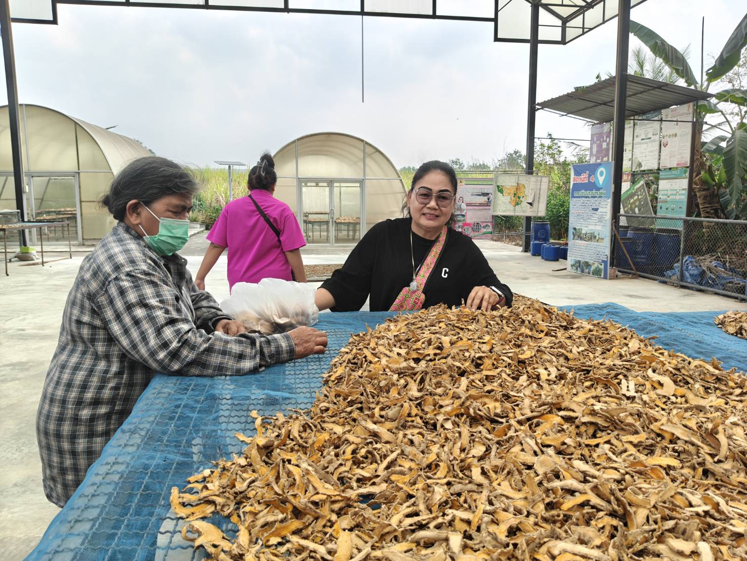 title - ส.ป.ก.นครปฐม จัดฝึกอบรมและศึกษาดูงานโครงการยกระดับศักยภาพพัฒนาสินค้าเกษตรชีวภาพกิจกรรมยกระดับศักยภาพ การพัฒนาศักยภาพสินค้าเกษตรชีวภาพ ปีงบประมาณ พ.ศ. 2569 หลักสูตร การเพิ่มประสิทธิภาพการผลิตพืชสมุนไพรในเขตปฏิรูปที่ดิน เพื่อส่งเสริมองค์ความรู้และยกระดับศักยภาพ