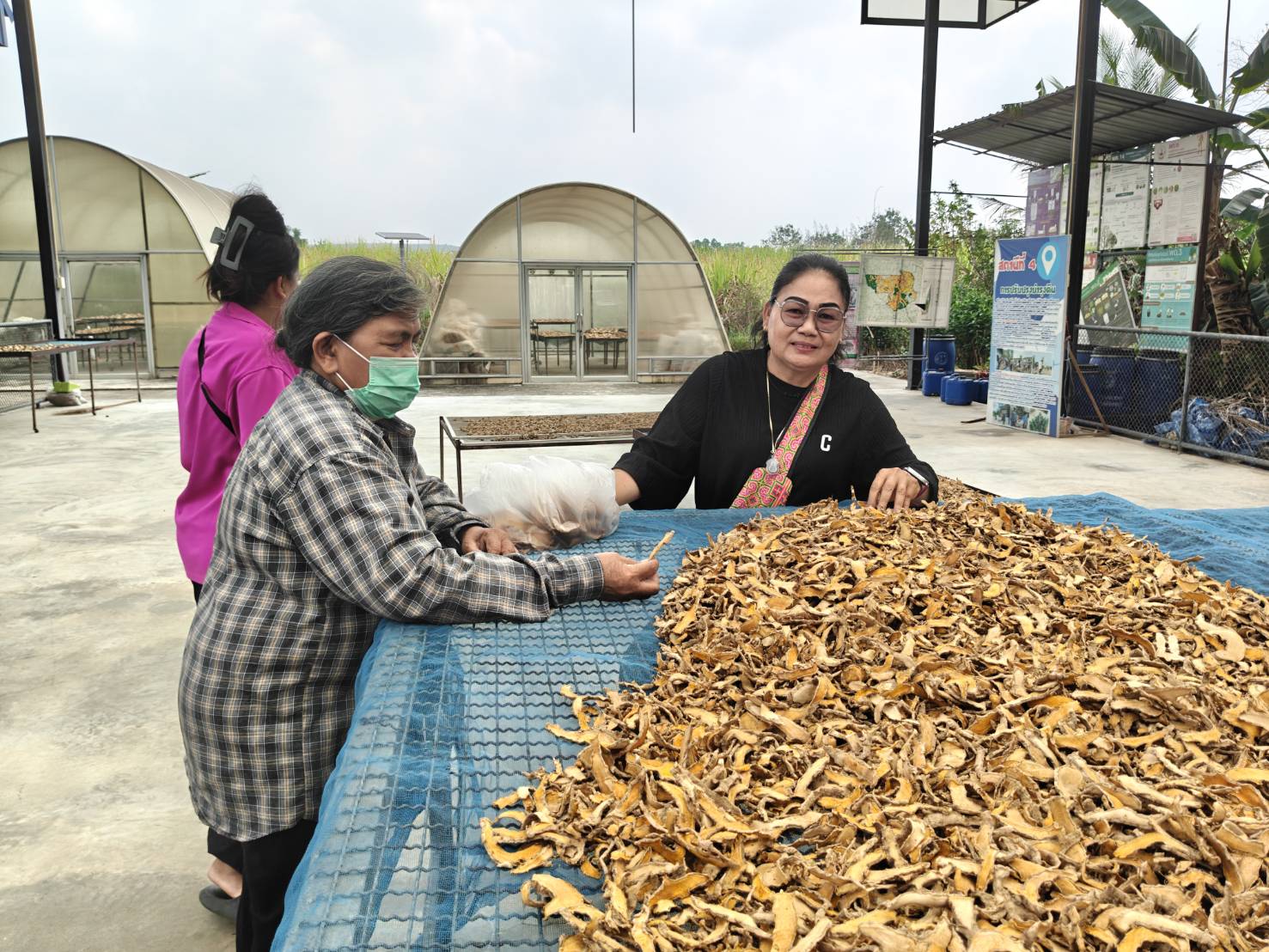 title - ส.ป.ก.นครปฐม จัดฝึกอบรมและศึกษาดูงานโครงการยกระดับศักยภาพพัฒนาสินค้าเกษตรชีวภาพกิจกรรมยกระดับศักยภาพ การพัฒนาศักยภาพสินค้าเกษตรชีวภาพ ปีงบประมาณ พ.ศ. 2569 หลักสูตร การเพิ่มประสิทธิภาพการผลิตพืชสมุนไพรในเขตปฏิรูปที่ดิน เพื่อส่งเสริมองค์ความรู้และยกระดับศักยภาพ