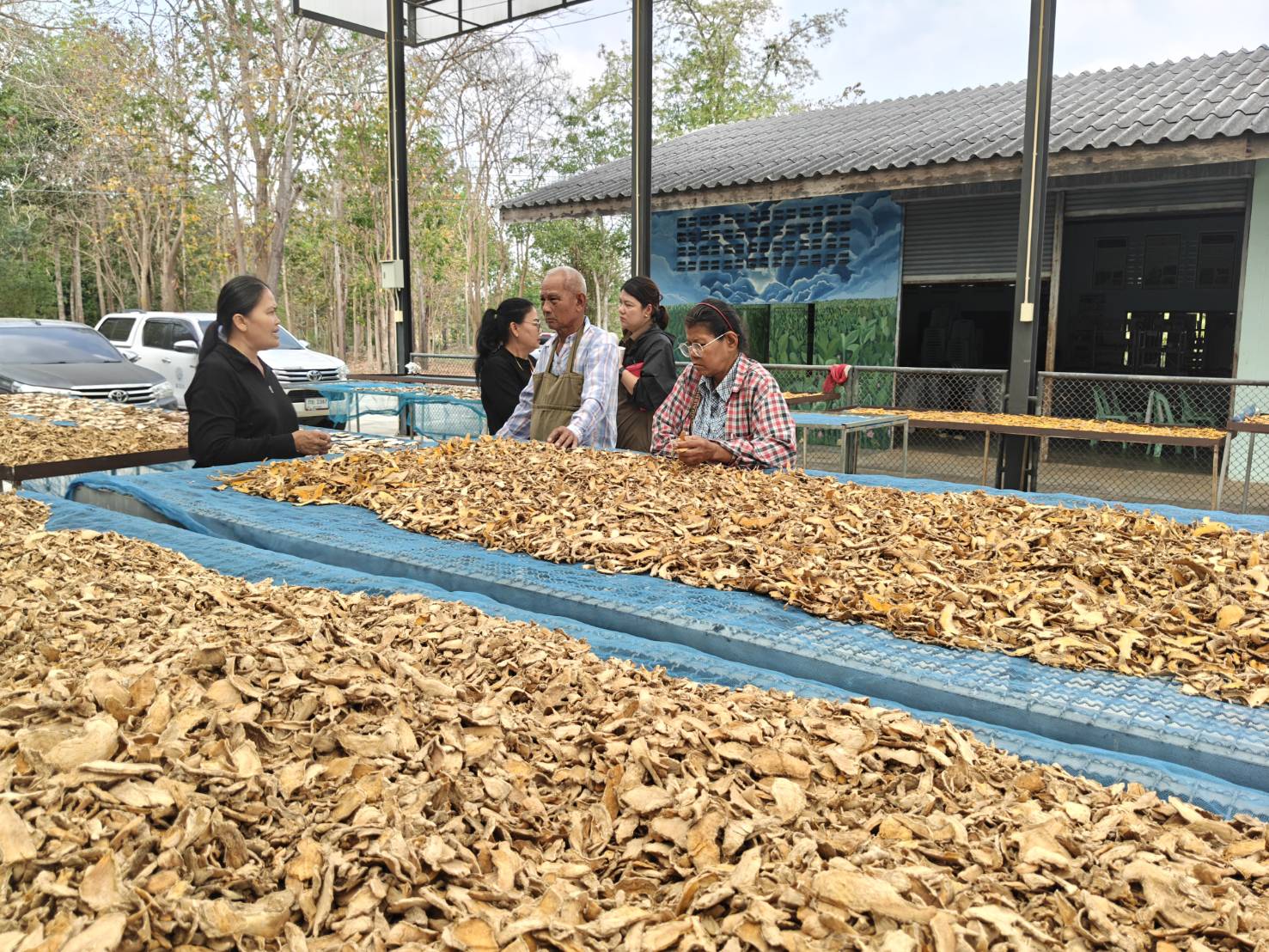 title - ส.ป.ก.นครปฐม จัดฝึกอบรมและศึกษาดูงานโครงการยกระดับศักยภาพพัฒนาสินค้าเกษตรชีวภาพกิจกรรมยกระดับศักยภาพ การพัฒนาศักยภาพสินค้าเกษตรชีวภาพ ปีงบประมาณ พ.ศ. 2569 หลักสูตร การเพิ่มประสิทธิภาพการผลิตพืชสมุนไพรในเขตปฏิรูปที่ดิน เพื่อส่งเสริมองค์ความรู้และยกระดับศักยภาพ