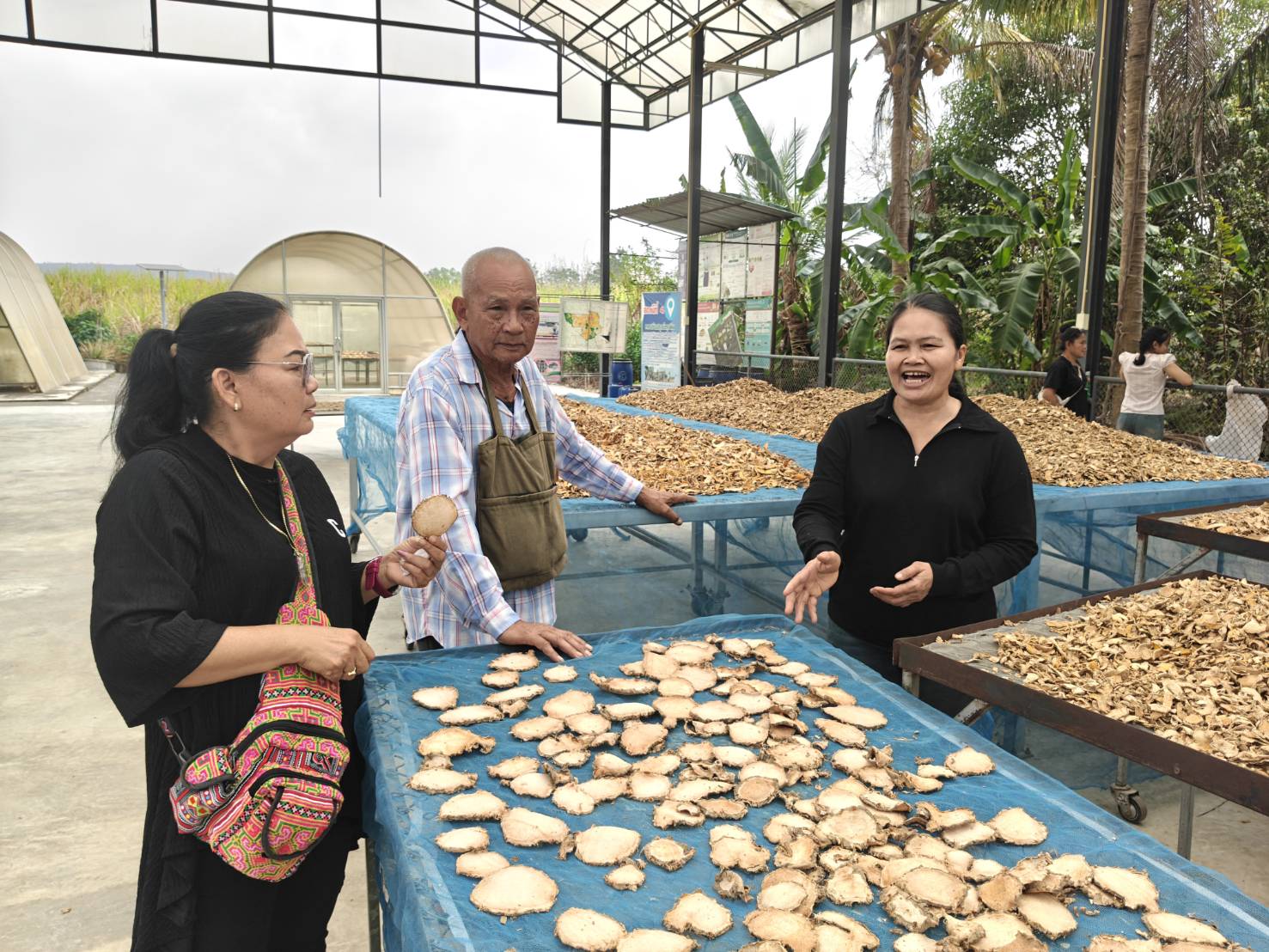 title - ส.ป.ก.นครปฐม จัดฝึกอบรมและศึกษาดูงานโครงการยกระดับศักยภาพพัฒนาสินค้าเกษตรชีวภาพกิจกรรมยกระดับศักยภาพ การพัฒนาศักยภาพสินค้าเกษตรชีวภาพ ปีงบประมาณ พ.ศ. 2569 หลักสูตร การเพิ่มประสิทธิภาพการผลิตพืชสมุนไพรในเขตปฏิรูปที่ดิน เพื่อส่งเสริมองค์ความรู้และยกระดับศักยภาพ