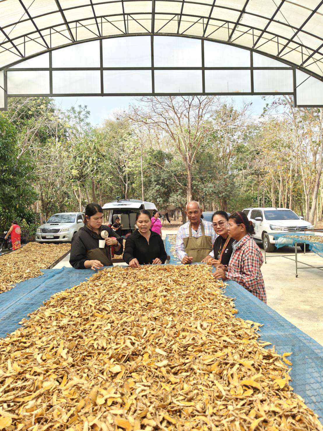 title - ส.ป.ก.นครปฐม จัดฝึกอบรมและศึกษาดูงานโครงการยกระดับศักยภาพพัฒนาสินค้าเกษตรชีวภาพกิจกรรมยกระดับศักยภาพ การพัฒนาศักยภาพสินค้าเกษตรชีวภาพ ปีงบประมาณ พ.ศ. 2569 หลักสูตร การเพิ่มประสิทธิภาพการผลิตพืชสมุนไพรในเขตปฏิรูปที่ดิน เพื่อส่งเสริมองค์ความรู้และยกระดับศักยภาพ