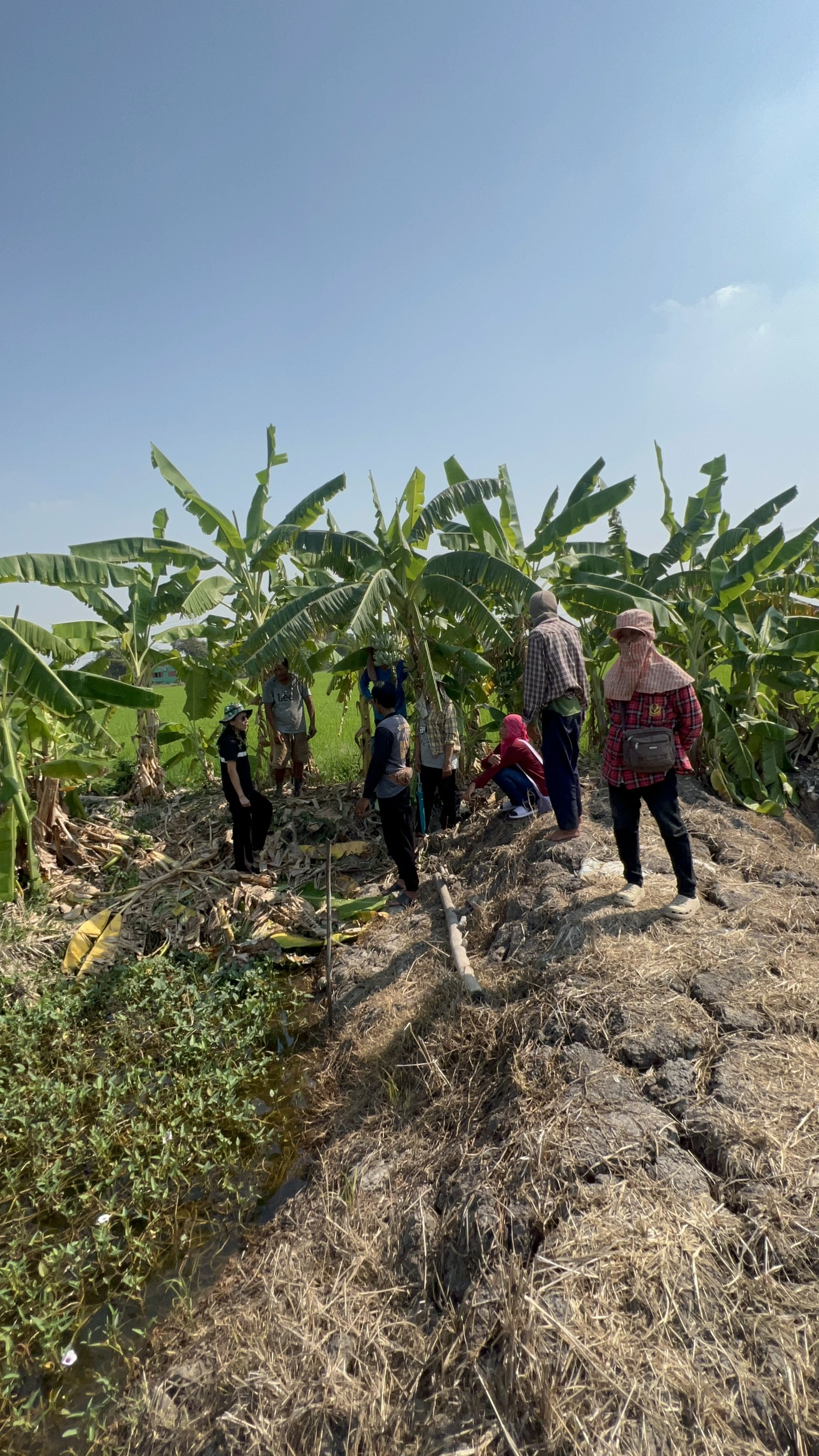 title - ส.ป.ก.นครปฐม ลงพื้นที่ประสานงานกับธนาคารเพื่อการเกษตรและสหกรณ์การเกษตรจังหวัดนครปฐม สาขาบางหลวง (ธกส.บางหลวง)