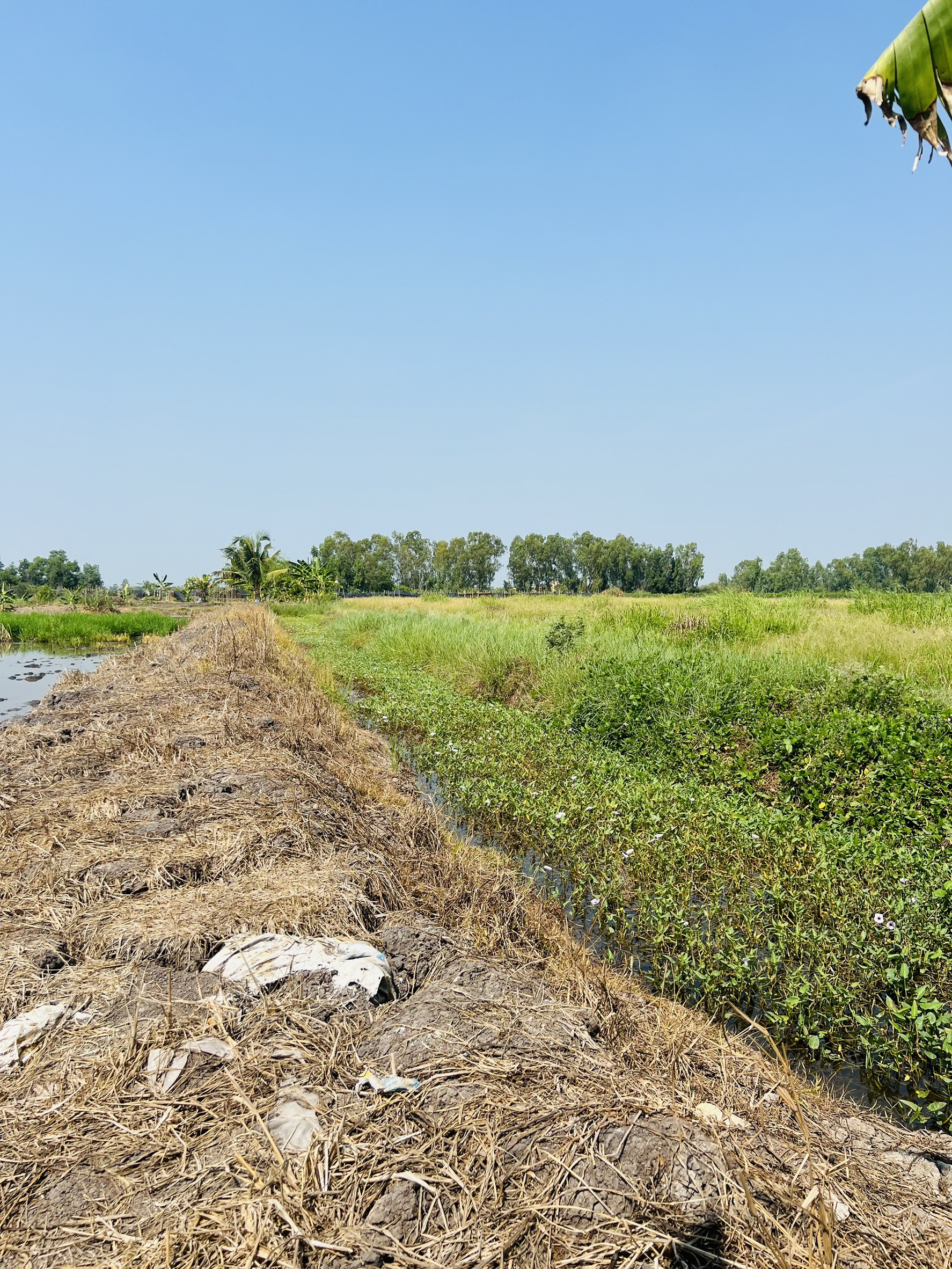 title - ส.ป.ก.นครปฐม ลงพื้นที่ประสานงานกับธนาคารเพื่อการเกษตรและสหกรณ์การเกษตรจังหวัดนครปฐม สาขาบางหลวง (ธกส.บางหลวง)