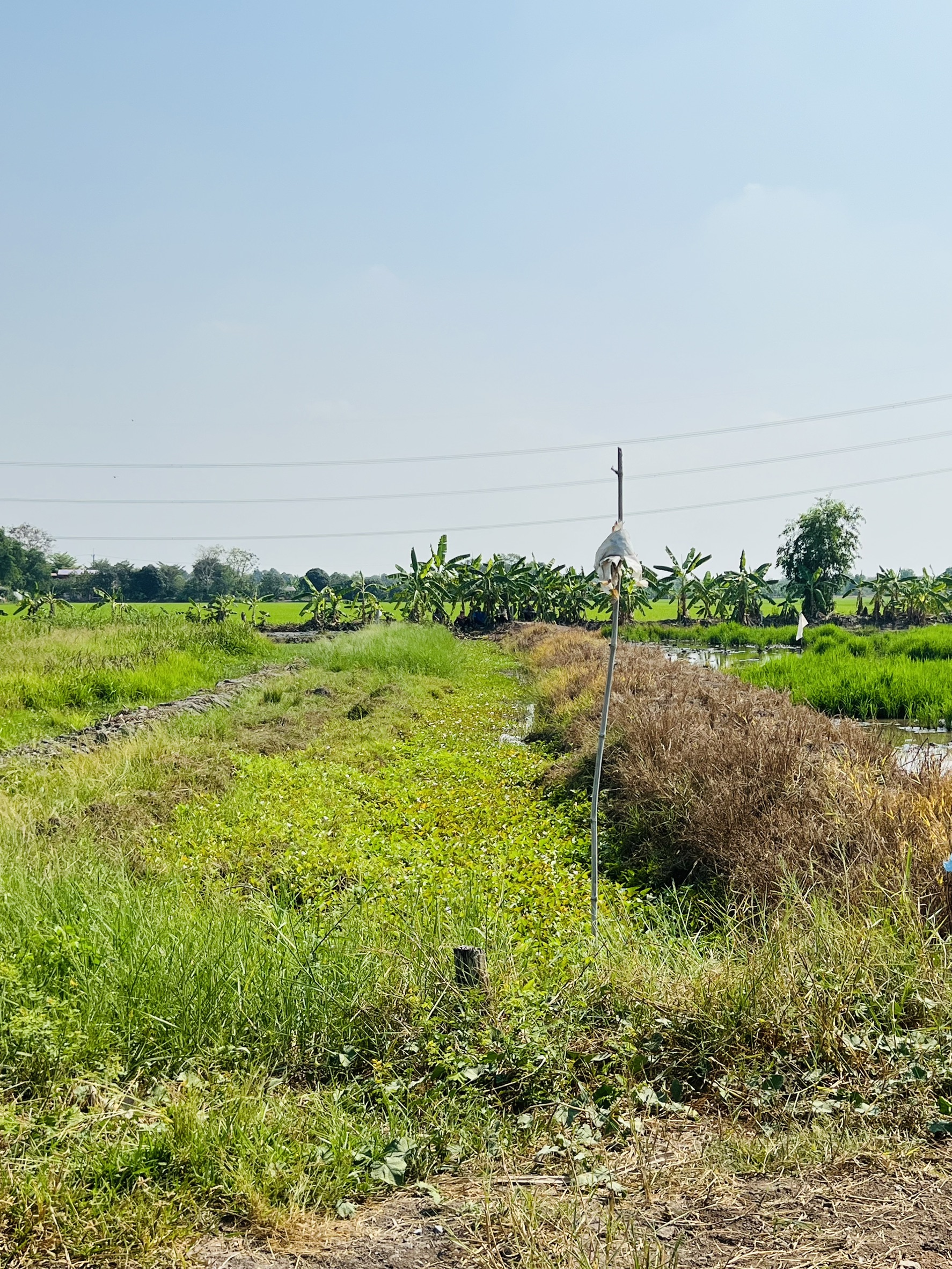 title - ส.ป.ก.นครปฐม ลงพื้นที่ประสานงานกับธนาคารเพื่อการเกษตรและสหกรณ์การเกษตรจังหวัดนครปฐม สาขาบางหลวง (ธกส.บางหลวง)