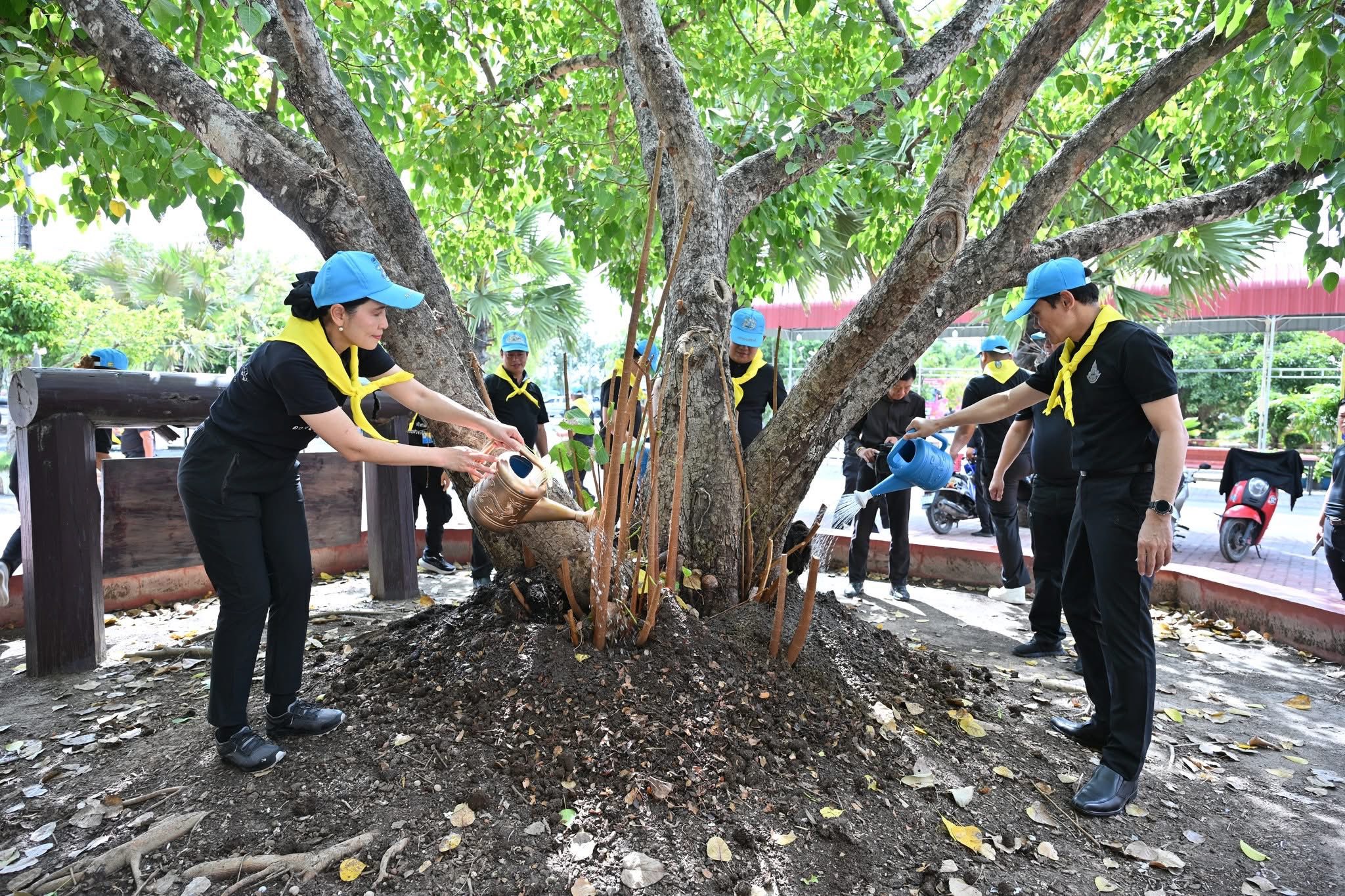 title - กิจกรรมจิตอาสาบำรุงต้นไม้ทรงปลูก ทำความสะอาดและปรับปรุงภูมิทัศน์วัดบางช้างเหนือ