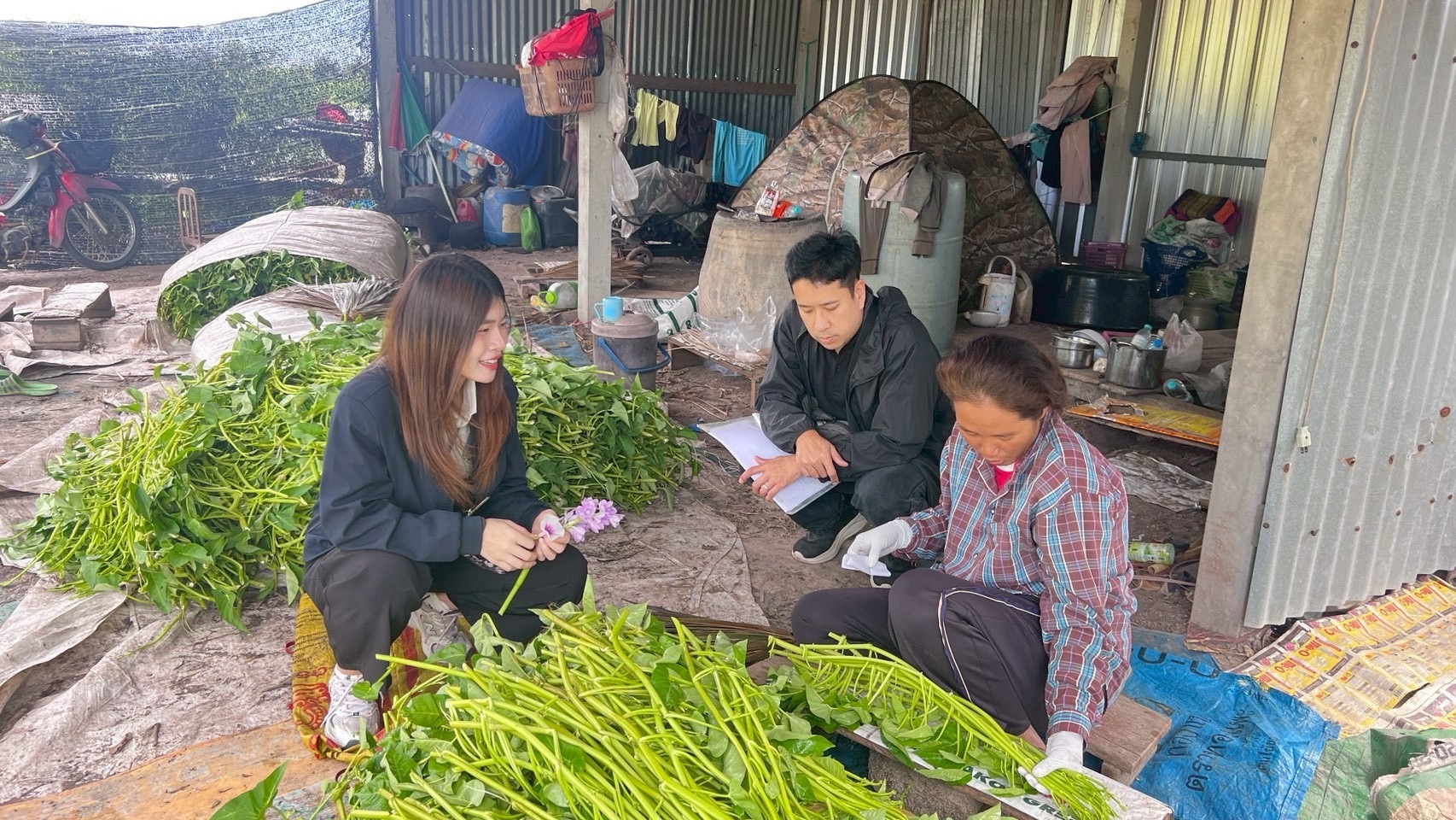 title - กลุ่มการเงินบัญชีและจัดเก็บผลประโยชน์ ออกให้บริการติดตามและจัดเก็บรายได้เงินกองทุนการปฏิรูปที่ดินเพื่อเกษตรกรรม ปีงบประมาณ พ.ศ. 2569