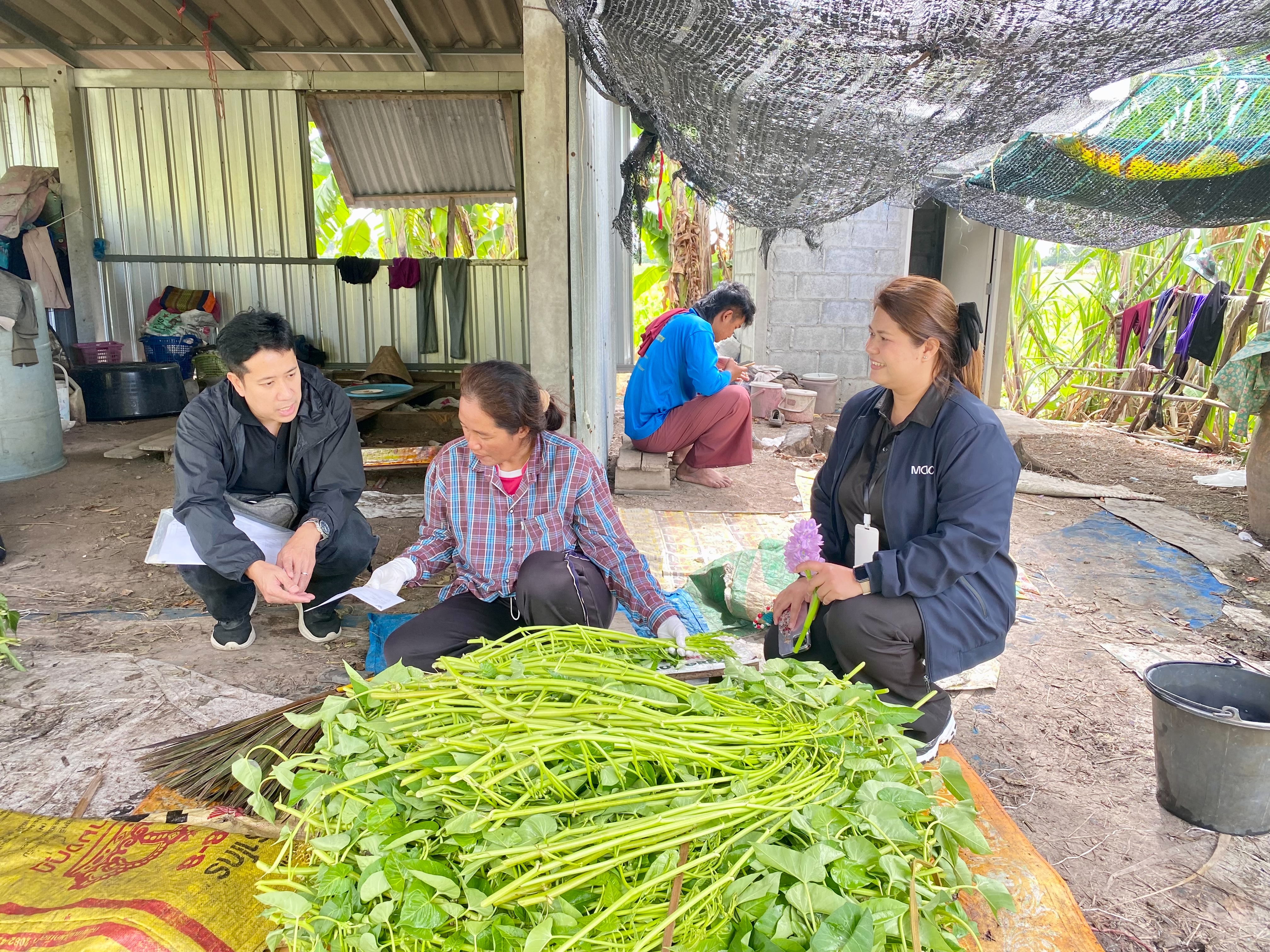 title - กลุ่มการเงินบัญชีและจัดเก็บผลประโยชน์ ออกให้บริการติดตามและจัดเก็บรายได้เงินกองทุนการปฏิรูปที่ดินเพื่อเกษตรกรรม ปีงบประมาณ พ.ศ. 2569