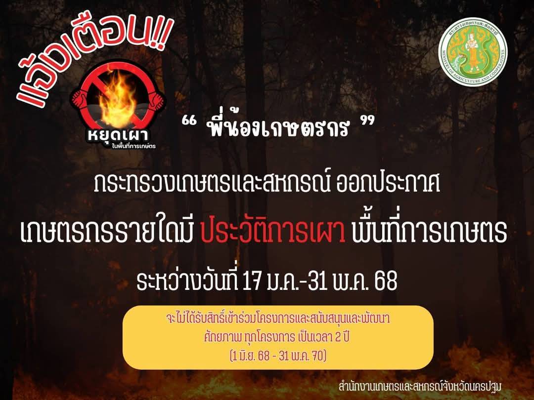 แบนเนอร์ห้ามเผา 2568