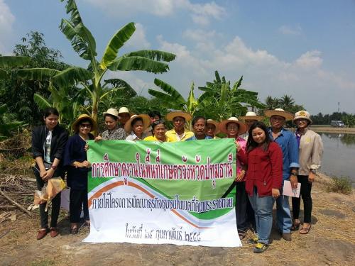 การศึกษาดูงานในพื้นที่เกษตรจังหวัดปทุมธานี  