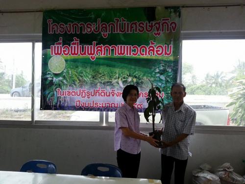 โครงการส่งเสริมการปลูกต้นไม้เศรษฐกิจเพื่อฟื้นฟูสภาพแวดล้อม