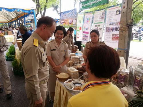 งานพอเพียงยั่งยืน ผืนดินพระราชทาน สืบสานศิลปาชีพ ดวงประทีปนำประชาไทย