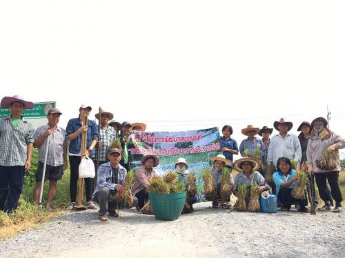 โครงการพัฒนาและรณรงค์การใช้หญ้าแฝกอันเนื่องมาจากพระราชดำริ