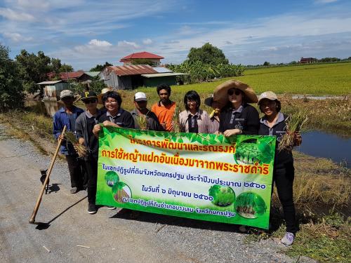 โครงการพัฒนาและรณรงค์การใช้หญ้าแฝกอันเนื่องมาจากพระราชดำริ