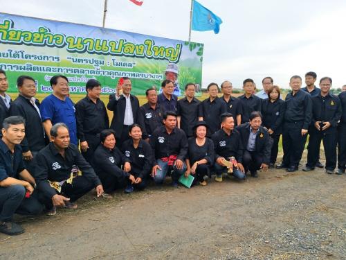 โครงการ นครปฐม : โมเดล การส่งเสริมการผลิตและการตลาดข้าวคุณภาพครบวงจร