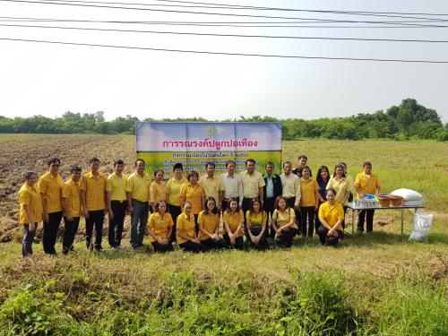 งานรณรงค์ปลูกปอเทือง และเตรียมจัดงาน วันดินโลก 5 ธันวาคม 2561