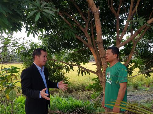หารือเตรียมความพร้อมเกษตรกรเพื่อให้สัมภาษณ์กิจกรรมบนผืนดินพระราชทาน