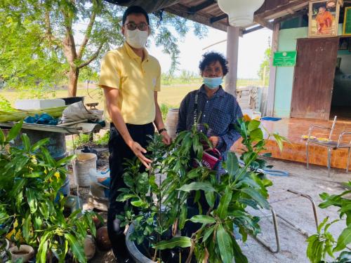 การสนับสนุนปัจจัยการผลิตแก่เกษตรกรโครงการส่งเสริมและพัฒนาเกษตรทฤษฎีใหม่ในเขตปฏิรูปที่ดินจังหวัดนครปฐม ปีงบประมาณ พ.ศ. 2564 