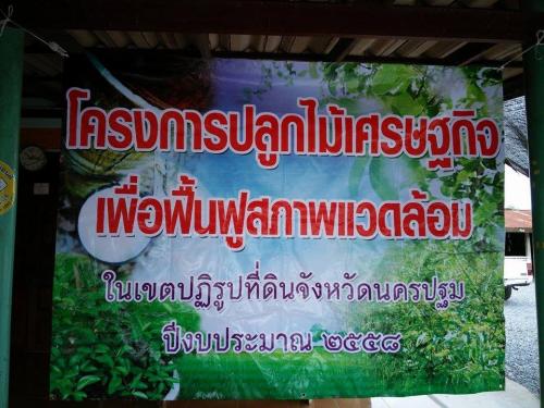 โครงการปลูกไม้เศรษฐกิจเพื่อฟื้นฟูสภาพแวดล้อมในเขตปฏิรูปที่ดินจังหวัดนครปฐม ปีงบประมาณ 2558  