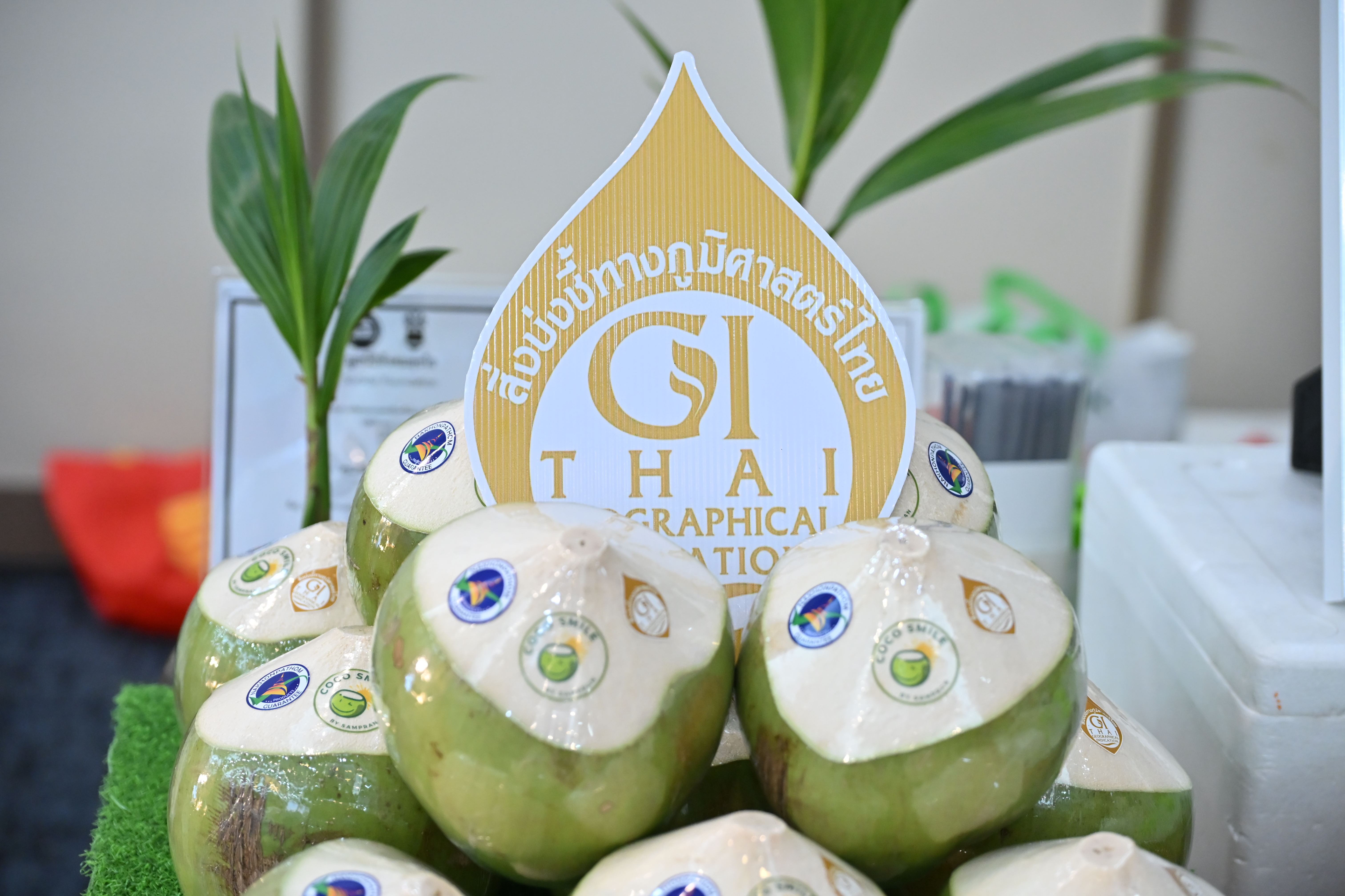 title - ส.ป.ก.นครปฐม เข้าร่วมการประชุมเปิดโครงการพัฒนาเครือข่ายสื่อมวลชน จังหวัดนครปฐม ภายใต้แนวคิด “สานพลังสื่อประชาสัมพันธ์สร้างสรรค์ รู้เท่าทันดิจิทัล”
