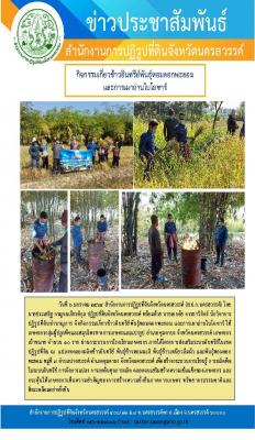 นายประเสริฐ กาญจนเกียรติกุล ปฏิรูปที่ดินจังหวัดนครสวรรค์ พร้อมด้วยนายเอกชัย จรรยาวิจิตร์ นักวิชาการปฏิรูปที่ดินชำนาญการ จัดกิจกรรมเกี่ยวข้าวอินทรีย์พันธุ์หอมดอกพยอม และการเผาถ่านไบโอชาร์