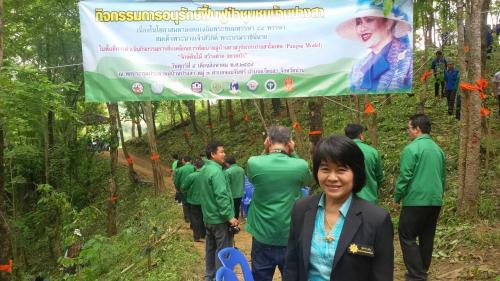 กิจกรรมการอนุรักษ์ฟื้นฟูป่าชุมชนบ้านปางสา