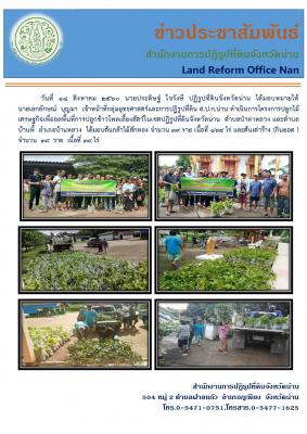 โครงการปลูกไม้เศรษฐกิจเพื่อลดพื้นที่การปลูกข้าวโพด