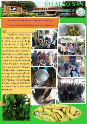 โครงการระบบส่งเสริมการเกษตรแบบแปลงใหญ่ กิจกรรมการแปรรูปผลิตภัณฑ์จากมะม่วง (มะม่วงดอง)