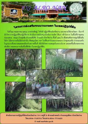 วันที่ 23 พฤษภาคม 2561 นายประดิษฐ์ ใจรังษี ปฏิรูปที่ดินจังหวัดน่าน มอบหมายให้นายวิทยา ปันวารี นักวิชาการปฏิรูปที่ดินปฏิบัติการ ดำเนินการสนับสนุนปัจจัยการผลิต ได้แก่ กล้าไผ่รวก ในพื้นที่ป่าชุมชน (Sensitive Area) บ้านทุ่งชัย อำเภอปัว จังหวัดน่าน พื้นที่ 158