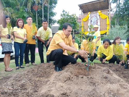 วันที่ 4 กรกฎาคม 2561 นายประดิษฐ์ ใจรังษี ปฏิรูปที่ดินจังหวัดน่าน พร้อมด้วยข้าราชการ พนักงานราชการและลูกจ้าง ส.ป.ก.น่าน ร่วมปลูกต้นรวงผึ้ง เพื่อเฉลิมพระเกียรติสมเด็จพระเจ้าอยู่หัว มหาวชิราลงกรณ์บดินทรเทพยวรางกูร รัชกาลที่ 10 บริเวณสนามหญ้าหน้าส.ป.ก.น่าน