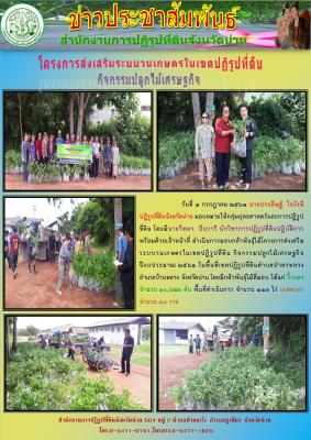 วันที่ 1 กรกฏาคม 2561 นายประดิษฐ์ ใจรังษี ปฏิรูปที่ดินจังหวัดน่าน มอบหมายให้นายวิทยา ปันวารี นักวิชาการปฏิรูปที่ดินปฏิบัติการ พร้อมด้วยเจ้าหน้าที่กลุ่มยุทธศาสตร์ฯ ดำเนินการมอบกล้าพันธุ์ไม้โครงการส่งเสริมระบบวนเกษตรในเขตปฏิรูปที่ดิน กิจกรรมปลูกไม้เศรษฐกิจ 