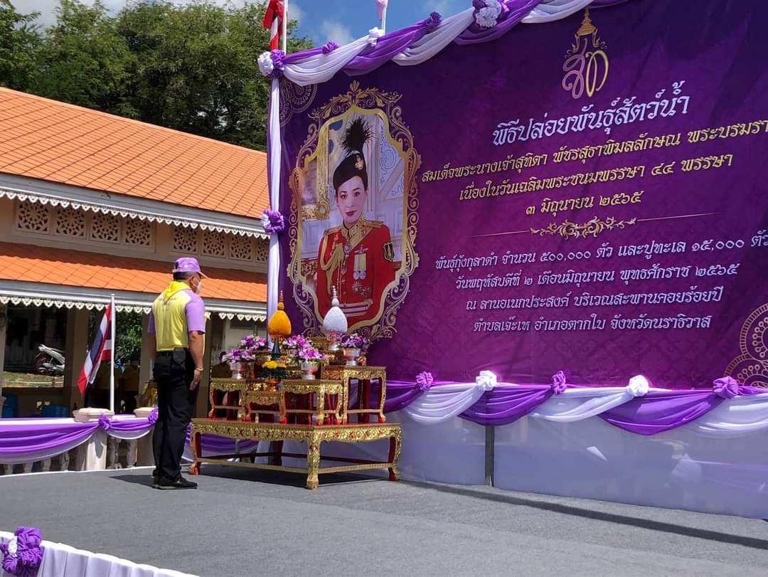 ส.ป.ก.นราธิวาส ร่วมพิธีปล่อยพันธุ์กุ้งกุลาดำ จำนวน 500,000 ตัว  และปูทะเล จำนวน 15,000 ตัว