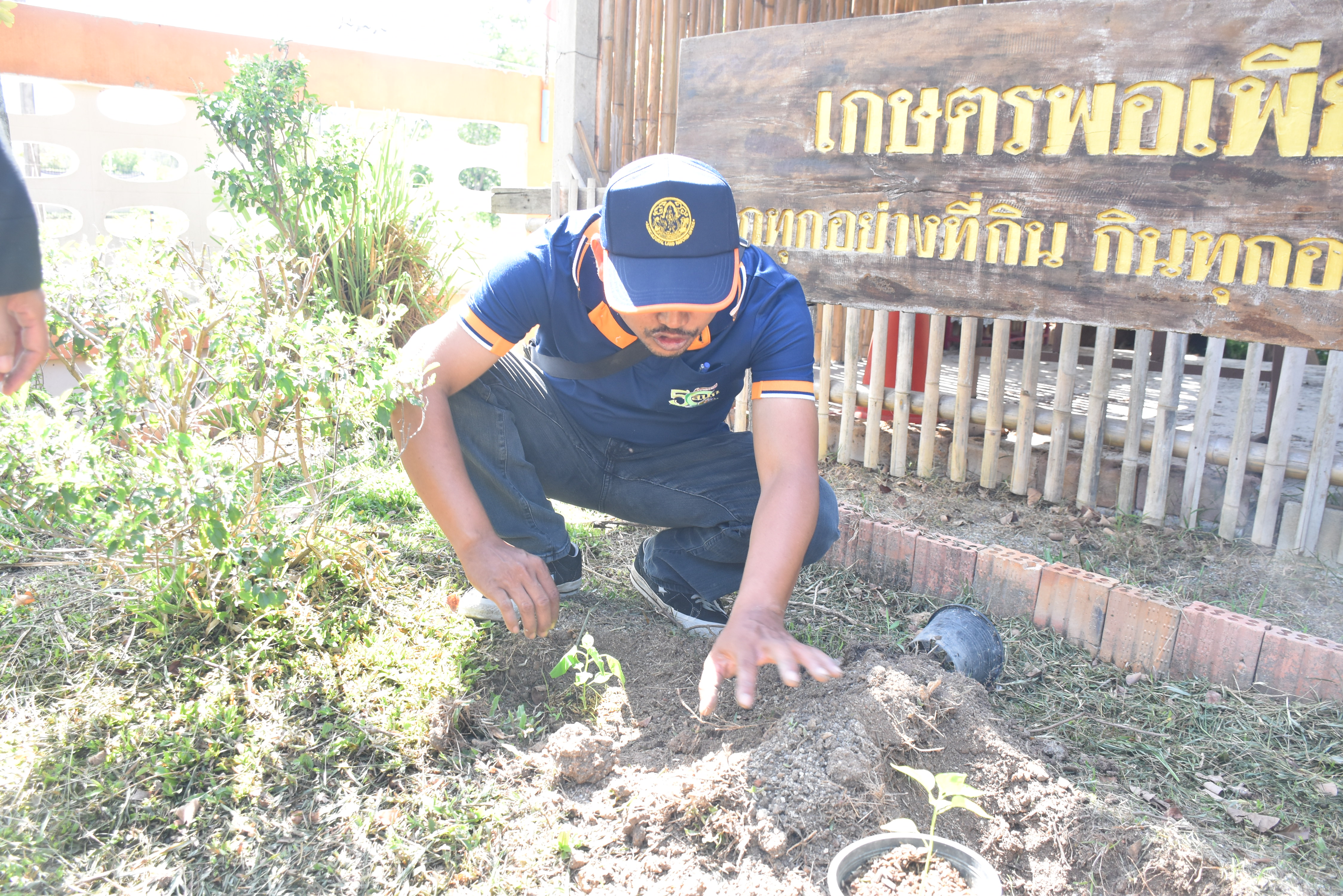 title - ส.ป.ก.นราธิวาส จัดกิจกรรมวันต้นไม้ประจำปีของชาติ พ.ศ. 2569 