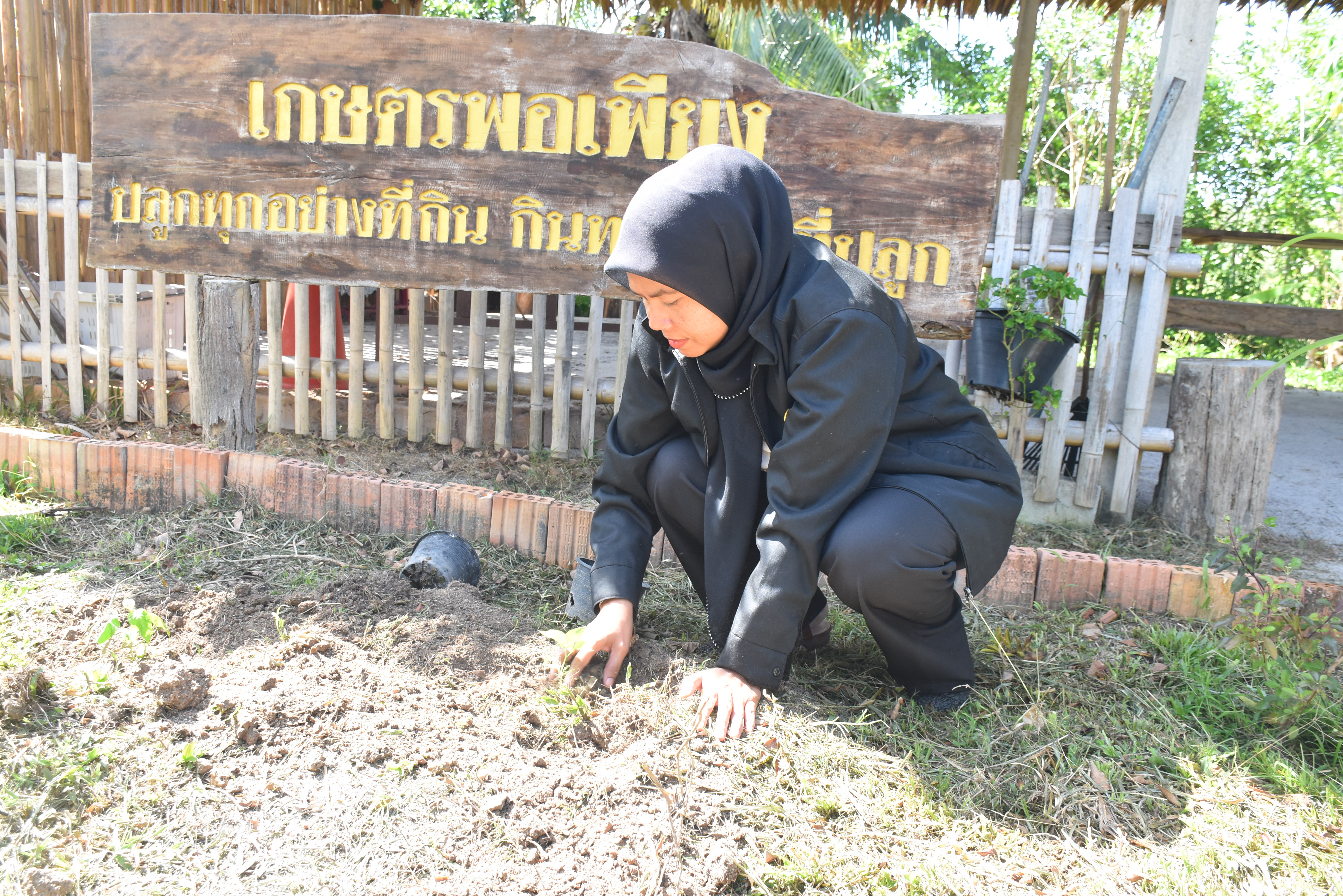 title - ส.ป.ก.นราธิวาส จัดกิจกรรมวันต้นไม้ประจำปีของชาติ พ.ศ. 2569 