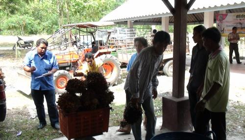 เปิดกลุ่มรวบรวมผลผลิตปาล์มน้ำมัน ในพื้นที่นิคมเศรษฐกิจพอเพียงในเขตปฏิรูปที่ดิน 
