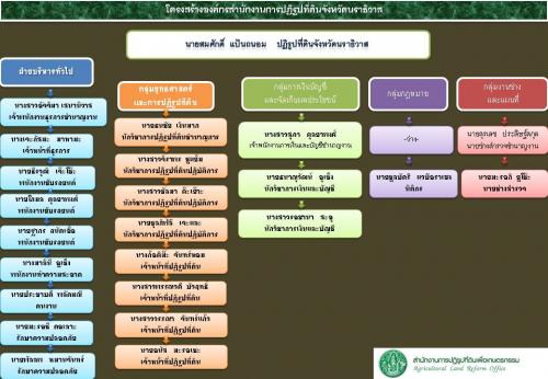 โครงสร้างองค์กร
