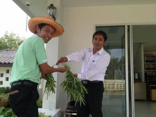 โครงการขับเคลื่อนปรัชญาของเศรษฐกิจพอเพียงของบุคลากร ส.ป.ก.นราธิวาส ประจำเดือนเมษายน 2560