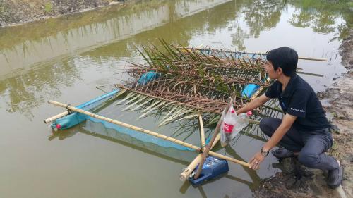 โครงการขับเคลื่อนปรัชญาของเศรษฐกิจพอเพียงของบุคลากร ส.ป.ก.นราธิวาส ประจำเดือนมิถุนายน 2560