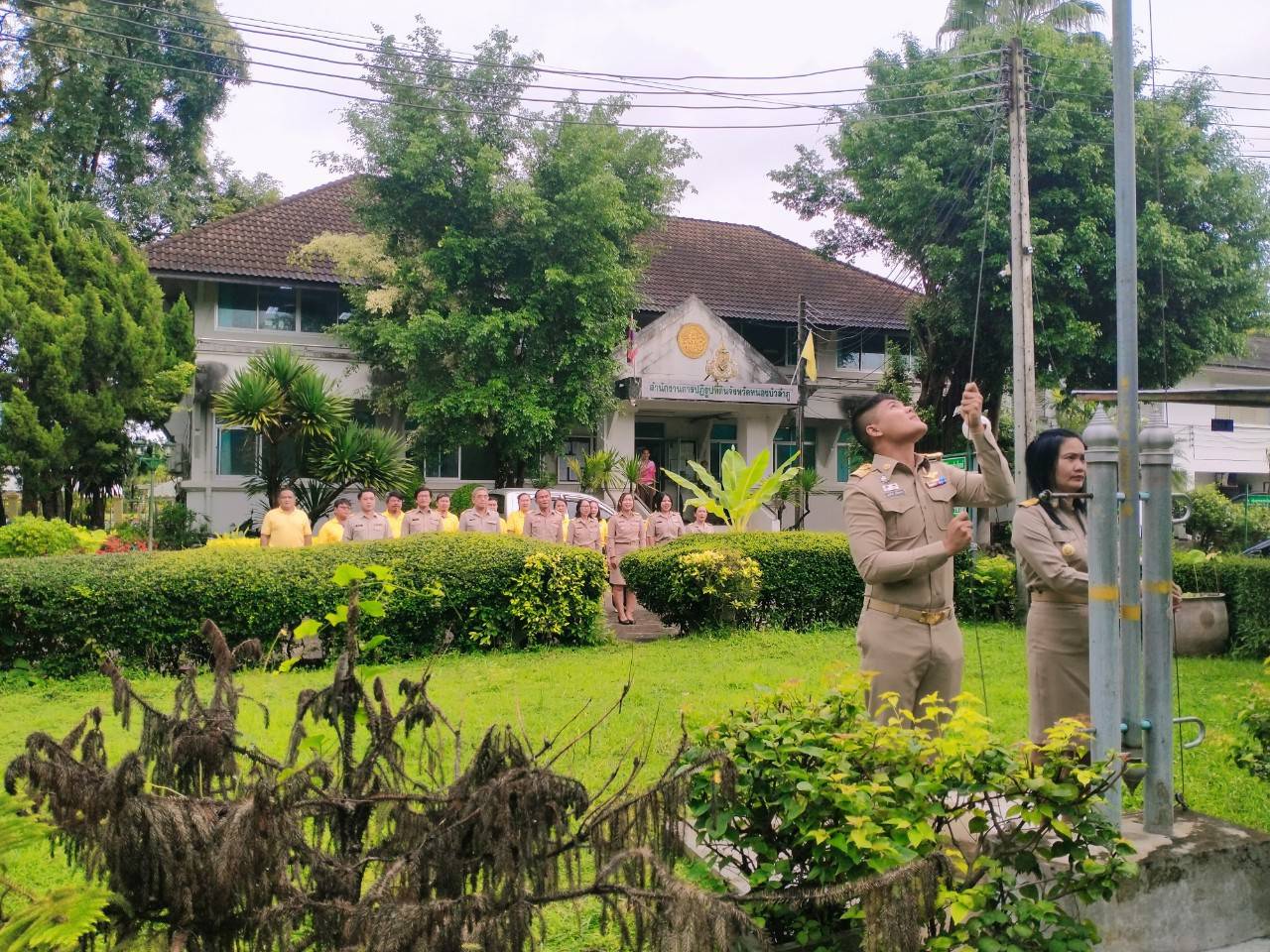 วันที่ 24 กันยายน 2567 ส.ป.ก.หนองบัวลำภู เคารพธงชาติและร้องเพลงชาติไทย เนื่องในวันพระราชทานธงชาติไทย 28กันยายน ประจำปี 2567
