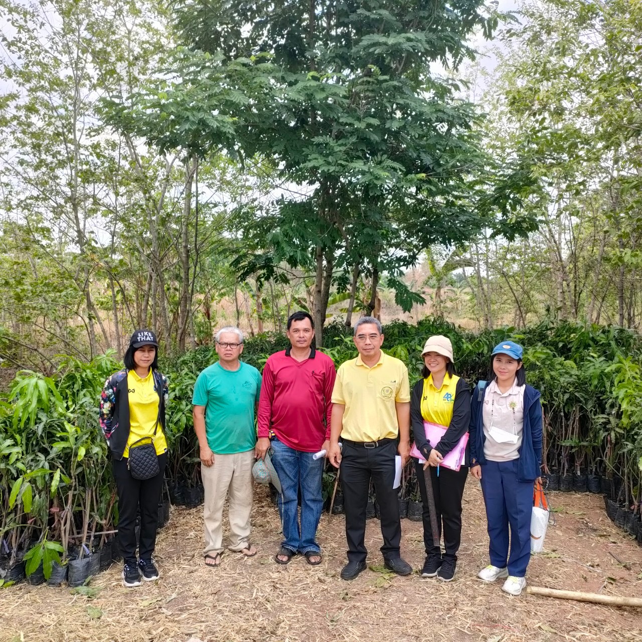 ส.ป.ก.หนองบัวลำภู สนับสนุนวัสดุการเกษตร (ต้นไม้) ให้เกษตรกร ภายใต้โครงการส่งเสริมระบบวนเกษตรในเขตปฏิรูปที่ดิน ประจำปีงบประมาณ 2566
