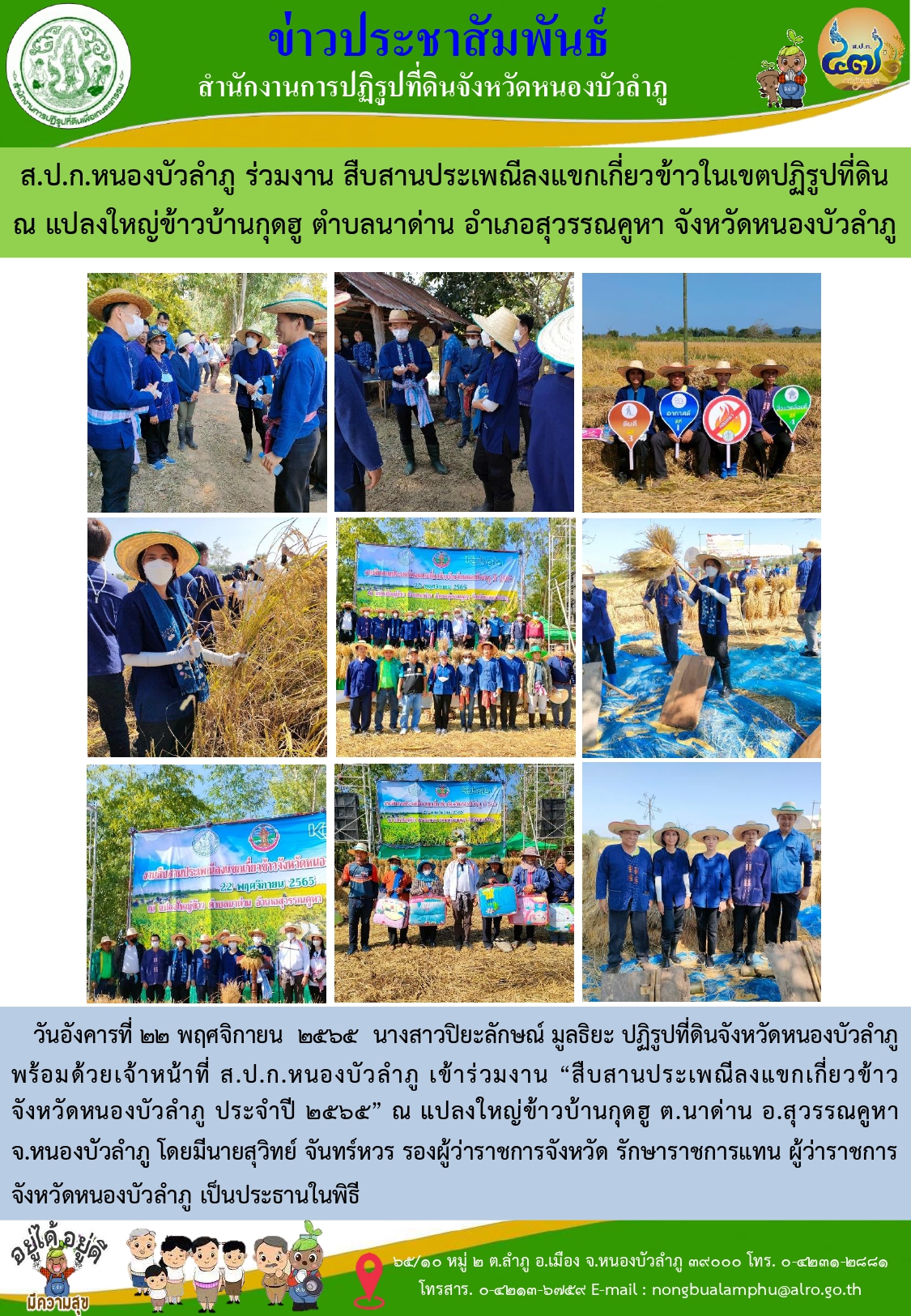 ส.ป.ก.หนองบัวลำภู ร่วมงานสืบงานประเพณีลงแขกเกี่ยวข้าวในเขตปฏิรูปที่ดินแปลงใหญ่ข้าวบ้านกุดฮู ต.นาด่าน อ.สุวรรณคูหา จ.หนองบัวลำภู