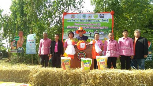 ส.ป.ก.หนองบัวลำภู ร่วมงานวันสาธิตการปลูกข้าวโพดเลี้ยงสัตว์ใน โครงการสานพลังประชารัฐ เพื่อสนับสนุนการปลูกข้าวโพดหลังฤดูทำนา ณ แปลงสาธิต นางบุญล้อม  นาเทวา หมู่ ๒ ต.ทรายทอง อ.ศรีบุญเรือง จ.หนองบัวลำภู