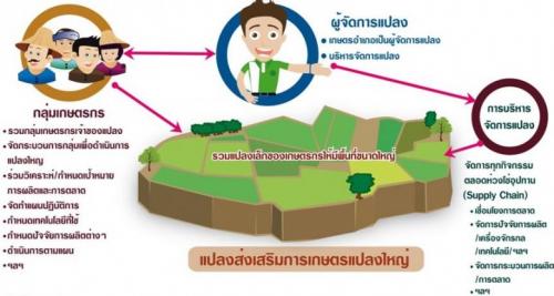 ระบบส่งเสริมการเกษตรแบบแปลงใหญ่