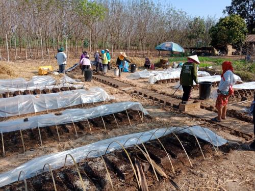 จัดฝึกอบรมโครงการพัฒนาเกษตรกรรมยั่งยืน กิจกรรมส่งเสริมเกษตรอินทรีย์ในเขตปฏิรูปที่ดิน ประจำปี 2563 หลักสูตร วิเคราะห์ข้อมูลการผลิต บริบทชุมชน การตลาดและหลักการเกษตรอินทรีย์  ณ แปลงโรงเรียนเกษตรอินทรีย์บ้านสร้างนางขาว  ตำบลสร้างนางขาว อำเภอโพนพิสัย จังหวัดห