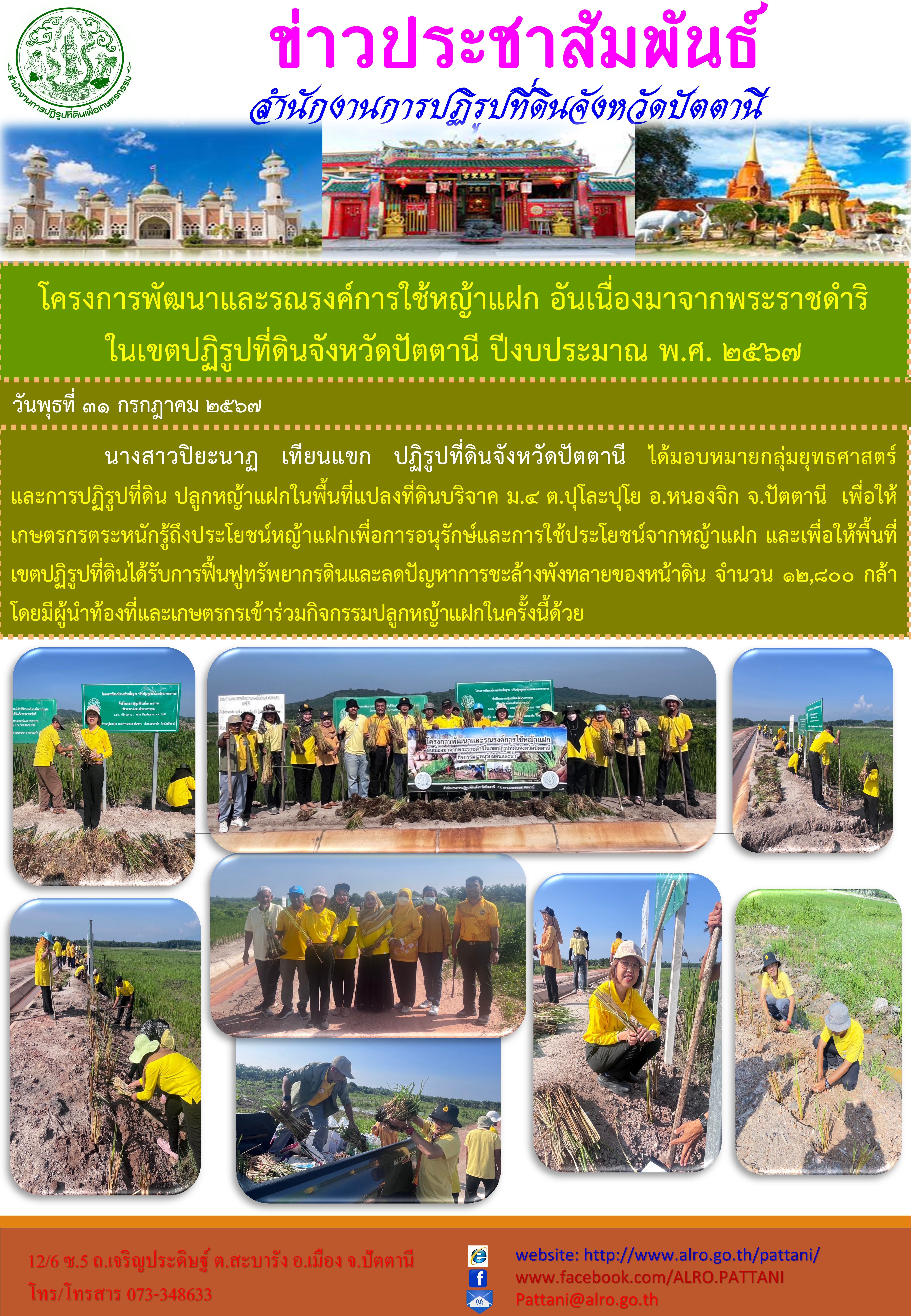 โครงการพัฒนาและรณรงค์การใช้หญ้าแฝก อันเนื่องมาจากพระราชดำริในเขตปฏิรูปที่ดินจังหวัดปัตตานี ปีงบประมาณ พ.ศ. 2567 