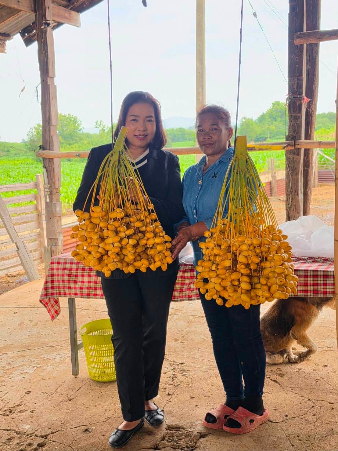 title - ผู้ตรวจราชการ ส.ป.ก. ลงพื้นที่เขตปฏิรูปที่ดินจังหวัดเพชรบูรณ์ ตามแผนการตรวจราชการ ของ ส.ป.ก. ประจำปีงบประมาณ พ.ศ.2569 รอบที่ 2