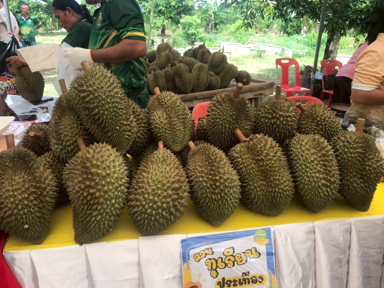 title - สำนักงานการปฏิรูปที่ดินจังหวัดเพชรบูรณ์ ร่วมเปิดโครงการท่องเที่ยวโดยชุมชนตำบลนาป่า กิจกรรมท่องเที่ยวเชิงเกษตร บุกสวน ชวนฟิน กินทุเรียนของดีตำบลนาป่า ประจำปี 2569 