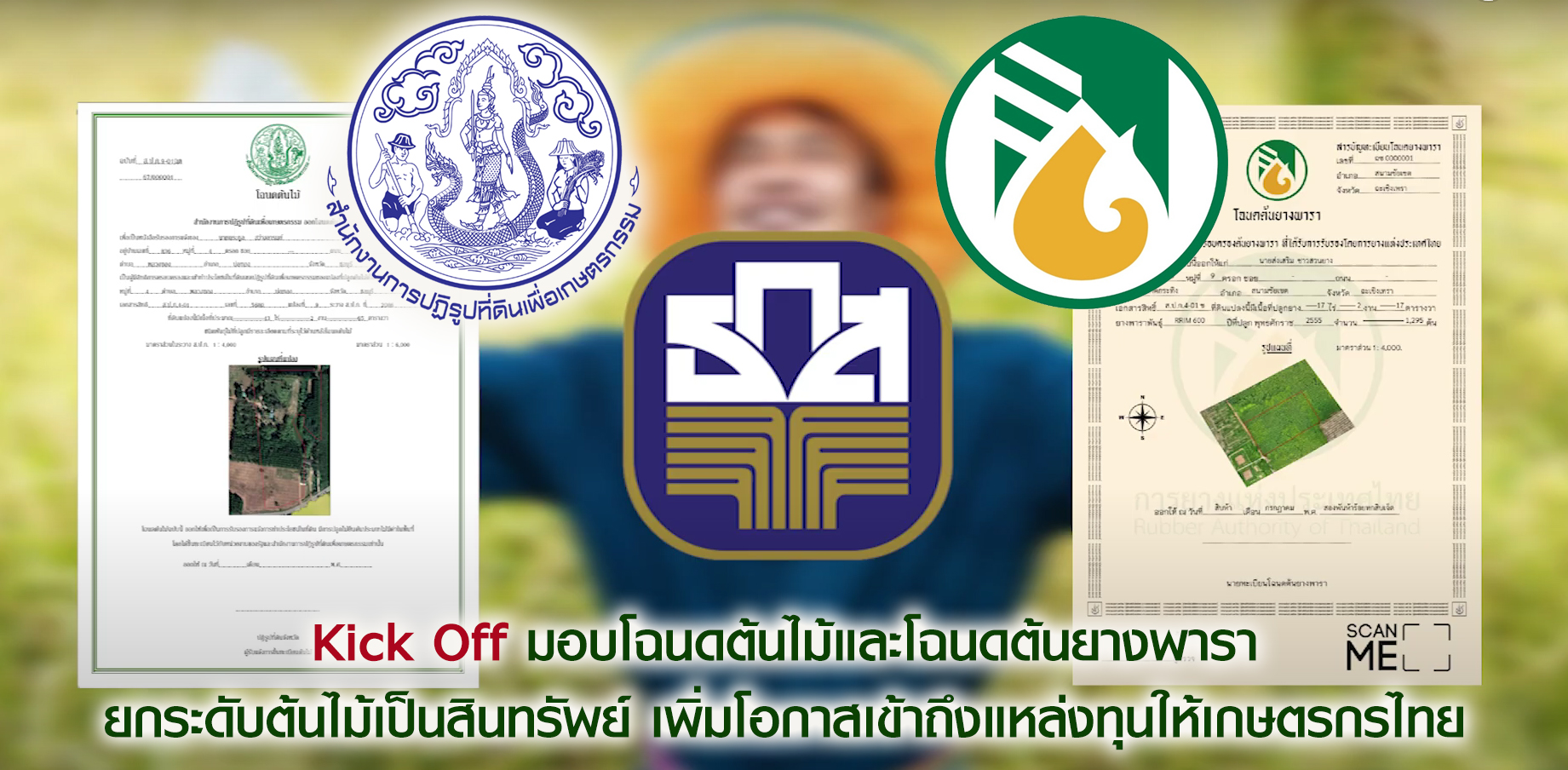 แบนเนอ โฉนดต้นไม้และต้นยางพารา