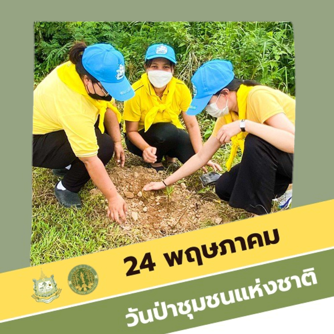 24 พฤษภา วันป่าชุมชนแห่งชาติ
