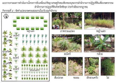 โครงการขับเคลื่อนปรัชญาของเศรษฐกิจพอเพียงของบุคลากร ส.ป.ก.พัทลุง ประจำเดือนกรกฎาคม 2560